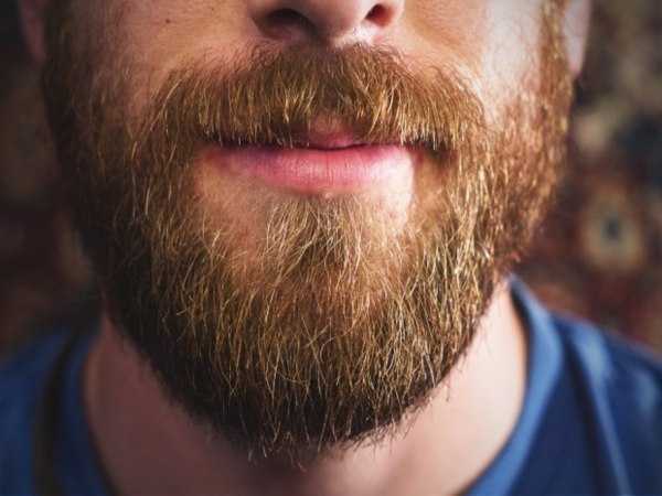 Борода маз – Гель, мазь, крем для роста бороды в аптеке: как выбрать?