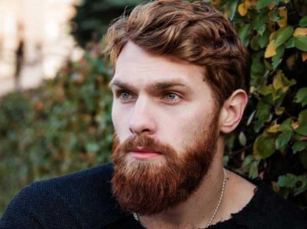 Бороды у мужчин виды – стрижки, фото и названия. Бороды по типу лица, которые всегда выглядят стильно.