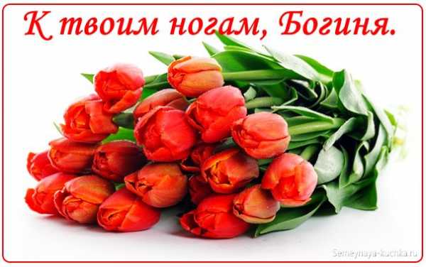 Букеты цветов для любимой девушки – , . |