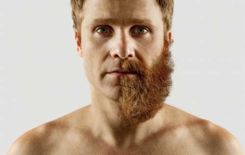 Чем мазать лицо чтобы росла борода – Не растёт борода - 12 способов отрастить бороду быстрее
