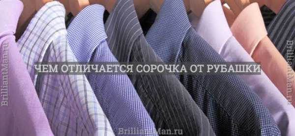 Чем отличается рубашка мужская от женской – Чем отличаются мужские и женские рубашки?
