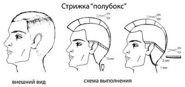 Чем прическа бокс отличается от полубокса – Стрижка бокс и полубокс: в чем разница?