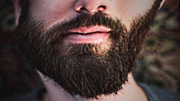 Что делать чтобы росла борода гуще – Почему щетина плохо растет и как сделать бороду гуще?