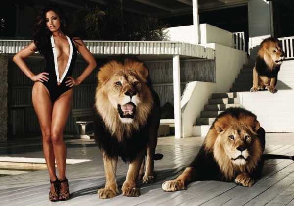 Что нужно девушкам львам – кто она и какой мужчина ей нужен?