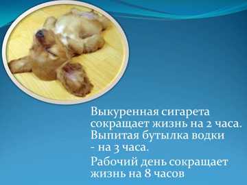 Что поднимает настроение – Как поднять настроение себе быстро, когда оно на нуле