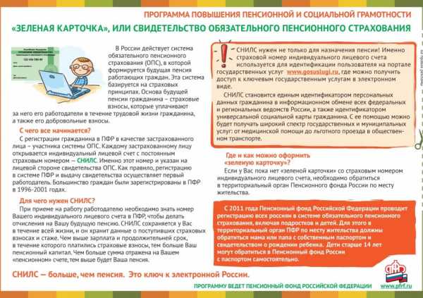 Что такое снилс документ – для чего его надо получать и как это сделать