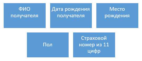 Что такое снилс документ – для чего его надо получать и как это сделать