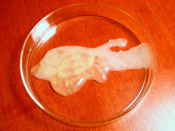 Цвет спермы норма – Какой должна быть здоровая сперма: оттенок, консистенция, структура, фото