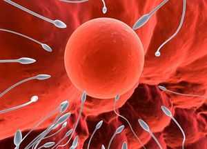 Цвет спермы норма – Какой должна быть здоровая сперма: оттенок, консистенция, структура, фото