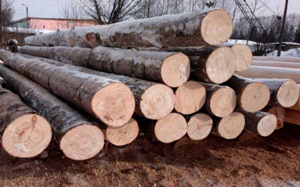 Древесный запах – Что это такое древесные ароматы? | Свои Духи