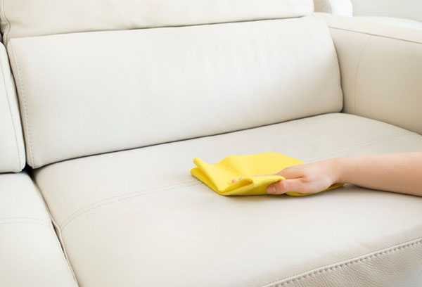 Экокожа уход – особенности ухода и чистки мебели