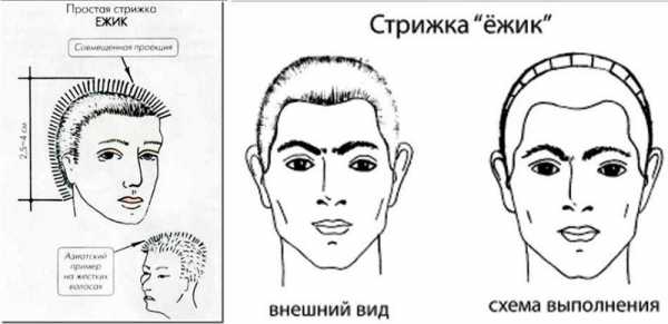 Ежик прическа мужская – 2018 Современная мужская стрижка ежик технология 24 фото