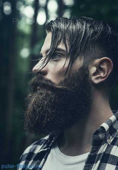 Форма бороды у мужчин стильная фото – Смотри! Модная борода 2018-2019 у мужчин 150 фото с усами и без