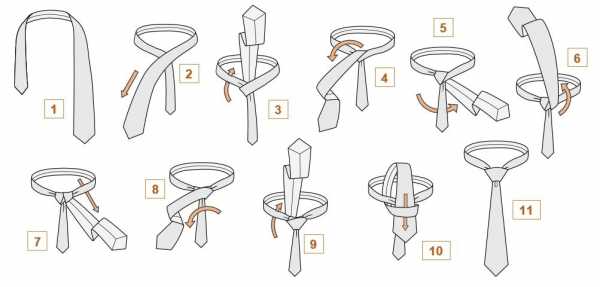 Галстук узел виндзор схема – Как завязать узел Виндзор - схема и инструкция с видео