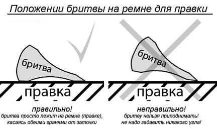 Как брить правильно лицо – 10 советов как правильно бриться мужчине