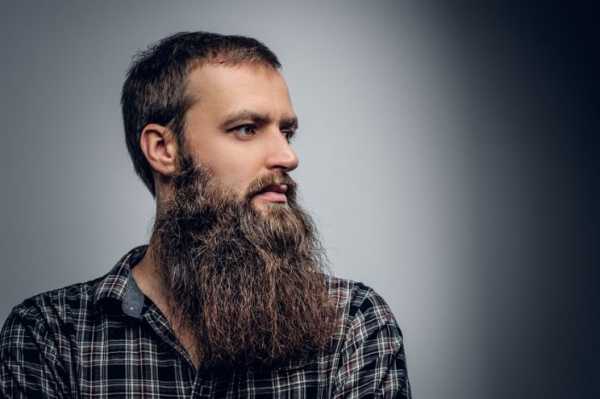 Как долго растет борода – Сколько растет борода по времени: степени и факторы
