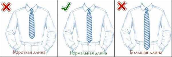 Как галстук должен сидеть – по этикету у мужчины, правильная длина до куда, как носить с рубашкой