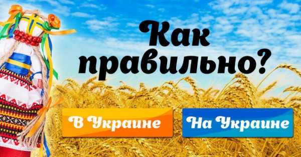 Как грамотно говорить – Как научиться говорить красиво и свободно 🚩 как научить ката разгаваривать 🚩 Образование 🚩 Другое