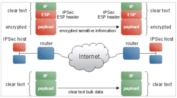 Как использовать впн – VPN — что это такое для чайников