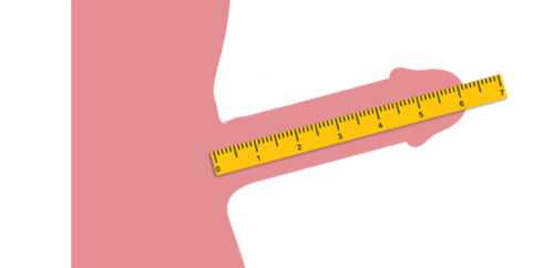 Как измерить – размер, длину, диаметр, обхват, толщину, ширину, окружность