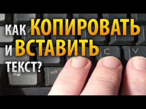 Как копировать текст и вставлять – Как вставить скопированный текст с помощью клавиатуры