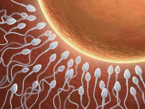 Как курение влияет на сперму – Как алкоголь и курение влияет на сперму
