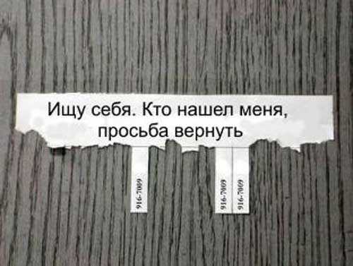 Как описать себя прикольно – Смешные статусы о себе | Мир анекдотов