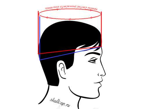 Как определить размер головы – Как определить размер головы 🚩 как измерить размер головы для шлема 🚩 Одежда