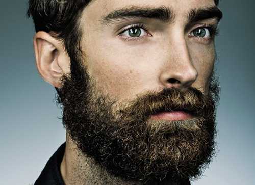 Как отрастить бороду быстро в 14 лет – Как в 14 лет отрастить бороду подростку?