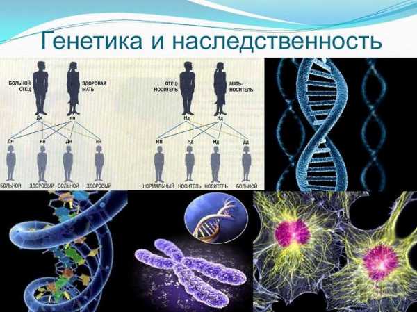 Как отрастить бороду в домашних условиях – Как отрастить бороду в домашних условиях?