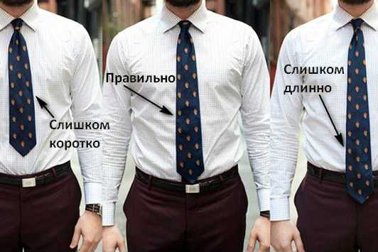 Как правильно носить галстук – этикет и правила ношения, можно ли обойтись без пиджака, несколько вариантов сочетания с разными рубашками, а также как длина галстука может изменить имидж?