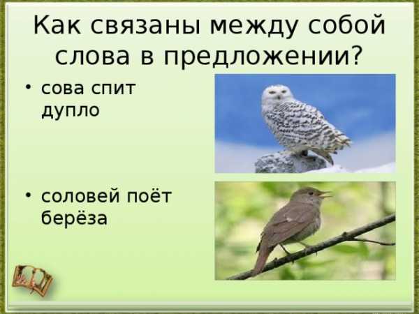 Как правильно строить предложения – 5 советов, как научиться красиво говорить