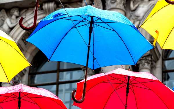 Как правильно выбрать зонт мужской – Рейтинг лучших зонтов — Топ 24 : как выбрать, обзор видов