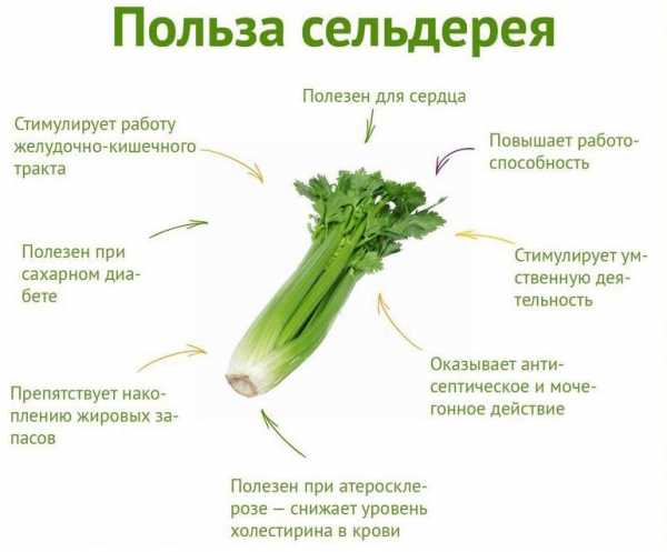 Как продлить пол акт – 20 крутых советов на тему о том, как хорошенько продлить половой акт мужчины в домашних условиях