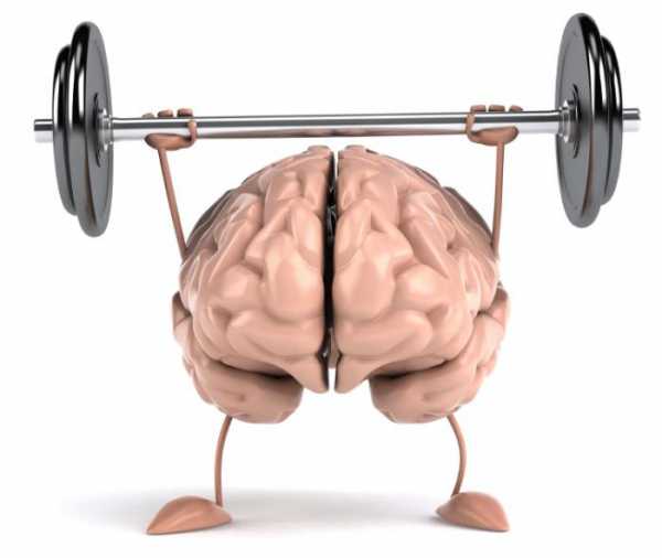 Как развить память у взрослого человека – упражнения для тренировки. Обзор лучших методик по развитию памяти