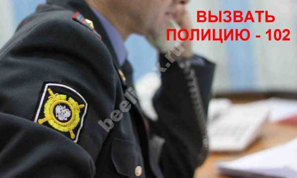 Как с мобильного вызвать полицию билайн – Как вызвать полицию с Билайна