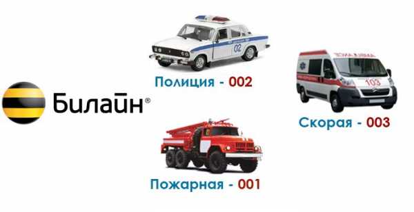Как с мобильного вызвать полицию билайн – Как вызвать полицию с Билайна