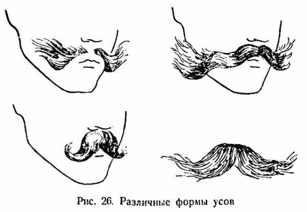 Как сделать бороду и усы своими руками – Как сделать бороду?