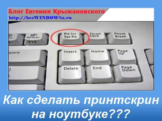 Как сделать принтскрин на ноутбуке – «Как сделать скриншот на ноутбуке?» – Яндекс.Знатоки