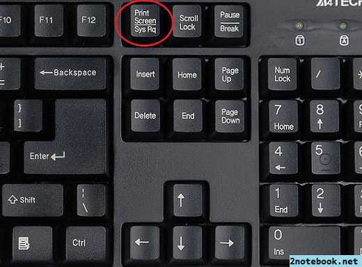 Как сделать скриншот в ноуте – Как сделать скриншот экрана на ноутбуке: 5 простых способа