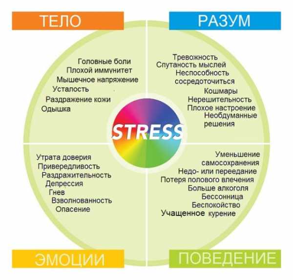 Как справиться с стрессом и тревогой – Как самостоятельно бороться с тревогой и стрессом