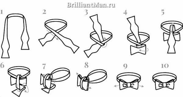 Как завязать бабочку – Как завязать бабочку из ленты или галстука: пошаговая инструкция
