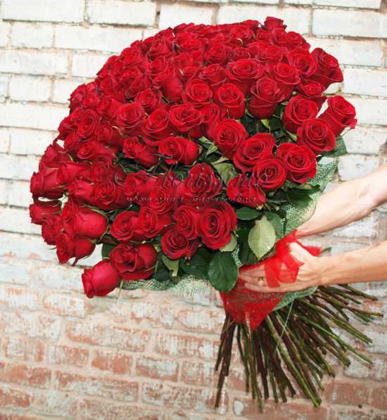 Какие цветы дарить девушке – Какие цветы можно дарить любимой девушке: выбираем идеальный букет