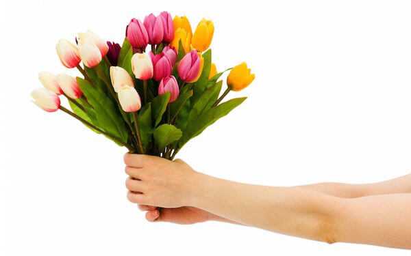 Какие цветы дарят девушке – Какие цветы можно дарить любимой девушке: выбираем идеальный букет