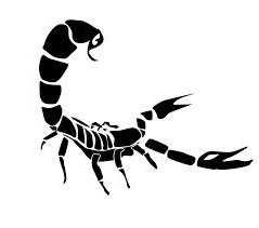 Какие знаки подходят скорпиону женщине – Кто подходит женщине скорпиону по знаку зодиака