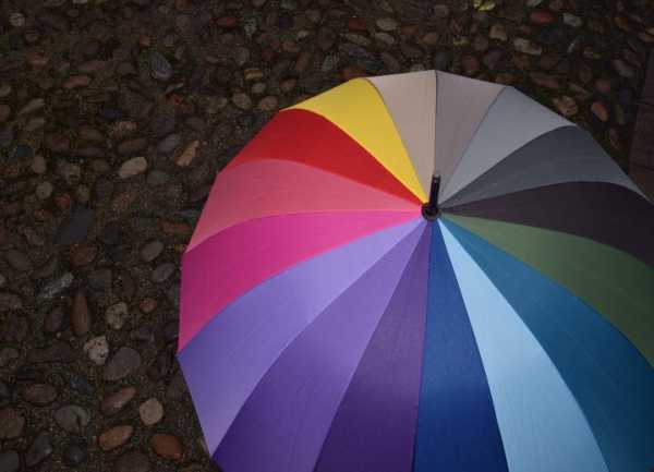 Какие зонты самые прочные и надежные отзывы – Рейтинг лучших зонтов — Топ 24 : как выбрать, обзор видов
