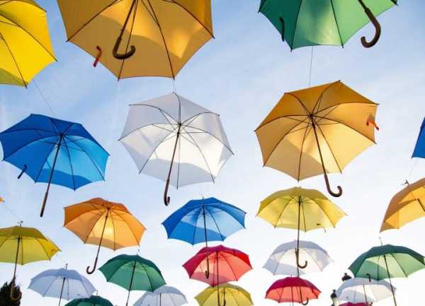 Какие зонты самые прочные и надежные отзывы – Рейтинг лучших зонтов — Топ 24 : как выбрать, обзор видов