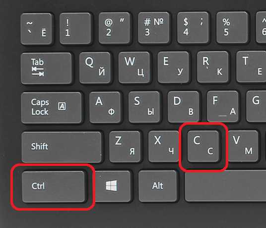 Какими кнопками на клавиатуре копировать – Как копировать и вставить на клавиатуре
