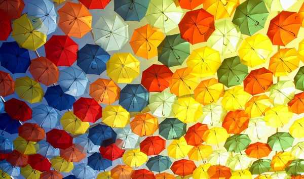 Какой лучше зонт автомат или полуавтомат – Механический зонт, автомат или полуавтомат: отличия
