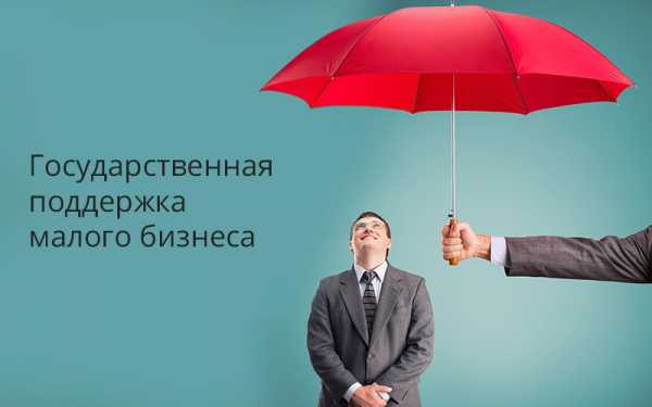 Какой новый бизнес можно открыть – ТОП 50 реальных и актуальных идей, вариантов создать свой успешный и прибыльный бизнес